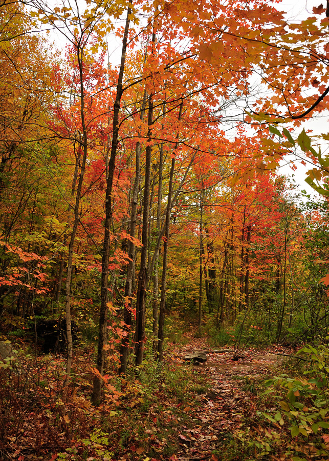 Jericho Mountain State Park [28 mm, 1/320 Sek. bei f / 8.0, ISO 400]